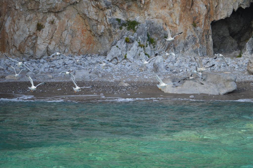 Villa Russo Casa Vacanze Marina di Camerota Exterior foto