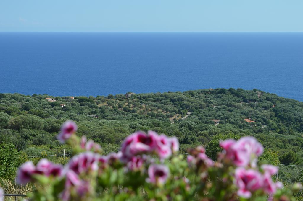 Villa Russo Casa Vacanze Marina di Camerota Exterior foto